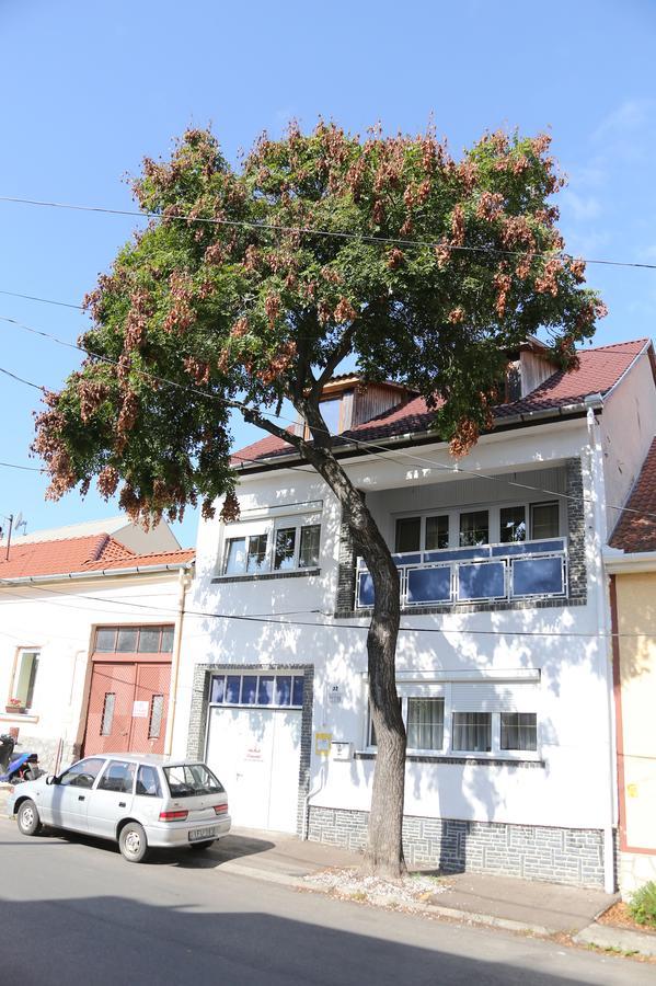 Hiv-Lak Apartman Eger Luaran gambar